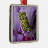 ベトナム南東部。モッシーな木のカエルのクローズアップ メタルオーナメント (右)