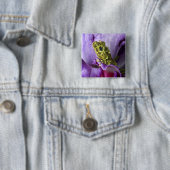 ベトナム南東部。モッシーな木のカエルのクローズアップ 缶バッジ (インサイチュ)