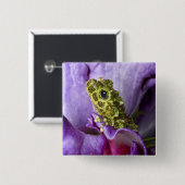 ベトナム南東部。モッシーな木のカエルのクローズアップ 缶バッジ (正面&裏面)