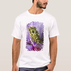 ベトナム南東部。苔むしたアマガエルのアップ Tシャツ