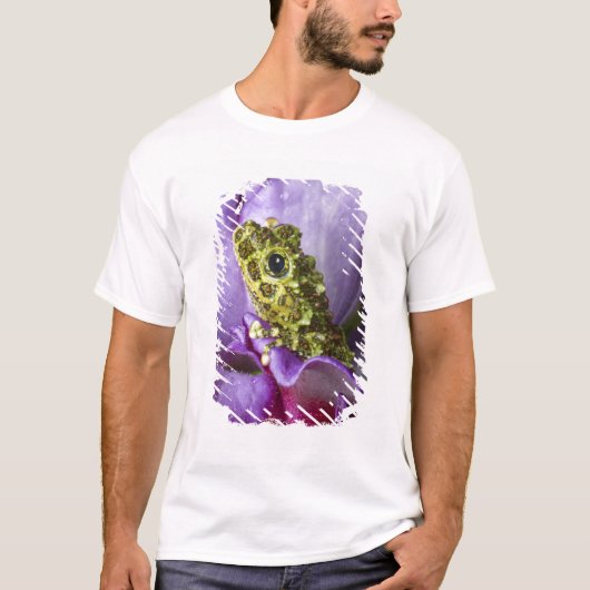 ベトナム南東部。苔むしたアマガエルのアップ Tシャツ (正面)
