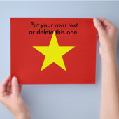 ベトナム国旗のフライヤー チラシ (手)