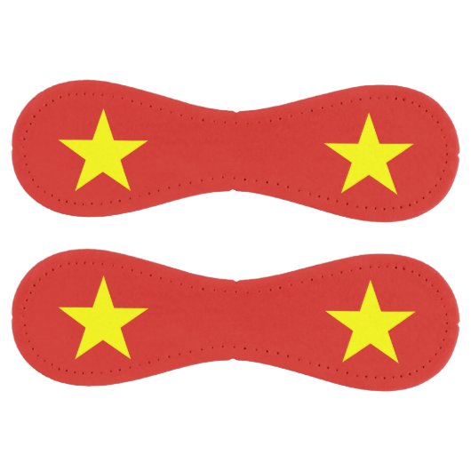 ベトナム国旗を持つ愛国的なソフトボール ソフトボール (パネル)