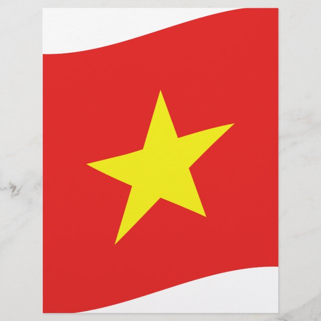 ベトナム国旗 (正面)