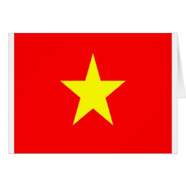 ベトナム国旗 (正面横)