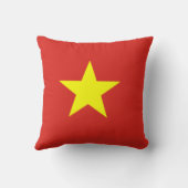 ベトナム国旗 クッション (裏面)
