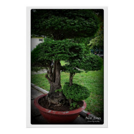 ベトナム旅行アドベンチャー ポスター