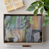 ベトナム景観米田組織の分離 薄葉紙 (ギフト)