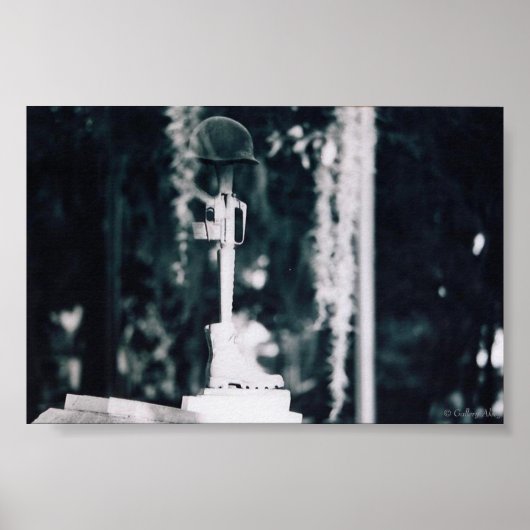 ベトナム記念サバンナプリント ポスター (正面)