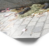 ベトナム記念壁 フォトプリント            (角)