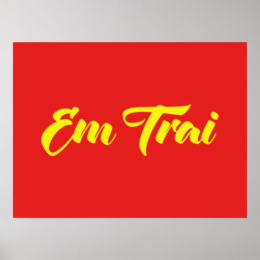ベトナム語(若い)ブラザー – Em Trai ~ế Ting Vitệ ポスター (正面)