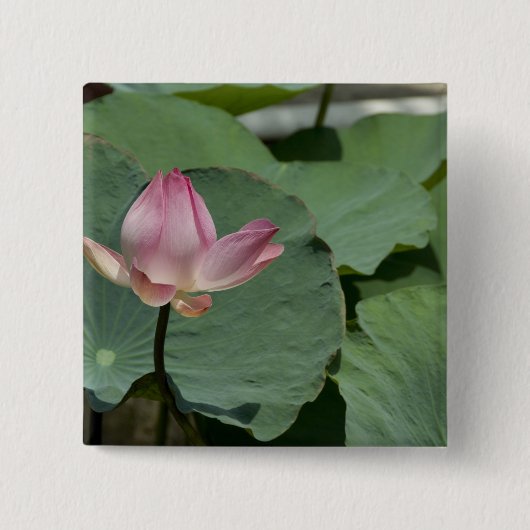 ベトナム、サイゴン近く)マイ·トー。ビン·トラン2 缶バッジ (正面)