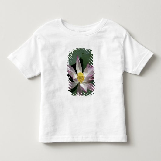 ベトナム、サイゴン近郊) ミトー。 ヴィンタン寺 トドラーTシャツ (正面)