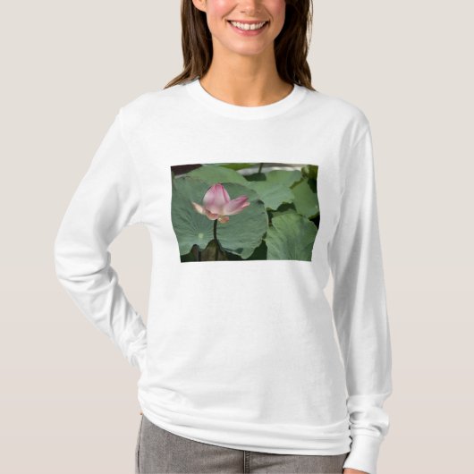ベトナム、サイゴン近郊)ミトー。ヴィンタン2 Tシャツ (正面)