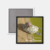 ベトナム、ハノイ、ウミガメ（磁石） マグネット (正面/裏面)