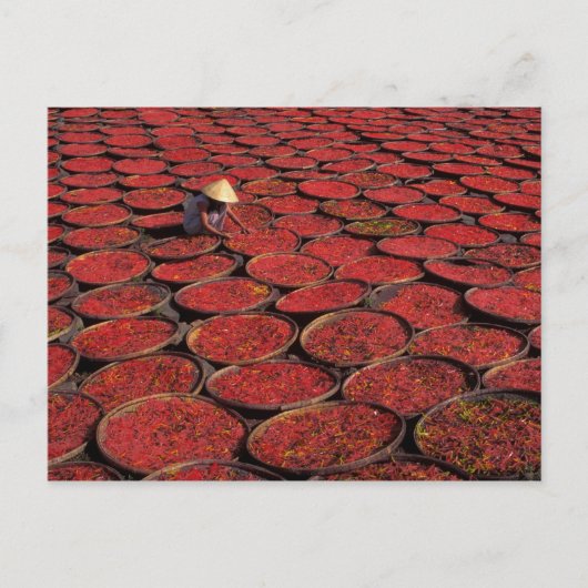 ベトナム。バスケットの下でキャンディを乾燥させる ポストカード (正面)