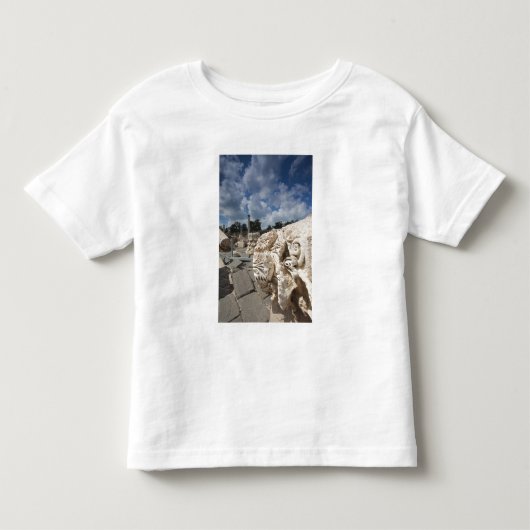 ベト・シェアン国立公園、ローマ時代の遺跡 トドラーTシャツ (正面)