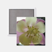 ベドゥタ マグネット (正面/裏面)