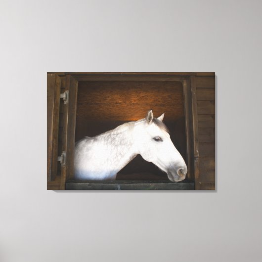 ベナラマデナコスタ，マラガ，コスタデルソル， 3 キャンバスプリント (正面)