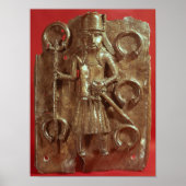 ベナン斑 ポスター (正面)