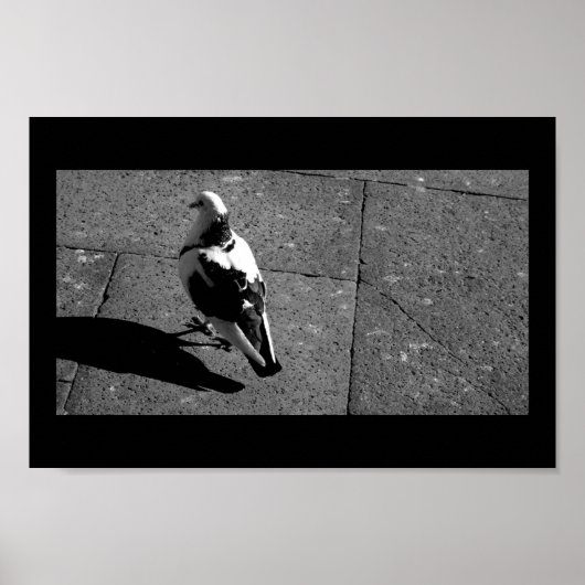 ベニスのハト ポスター (正面)