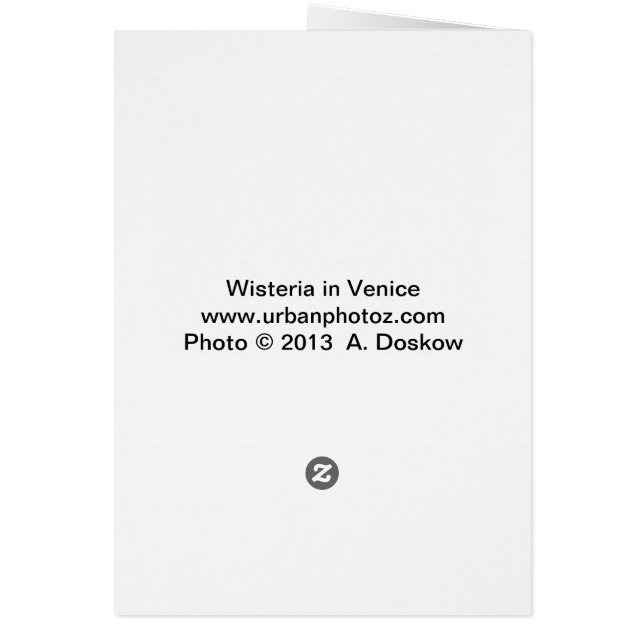 ベニスの藤 (裏面)