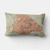 ベニスイタリア(1920年)のヴィンテージの地図 ランバークッション (裏面)