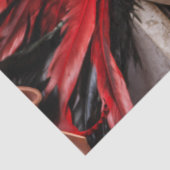 ベニスカーニバルマスクティッシュペーパー 薄葉紙 (詳細)