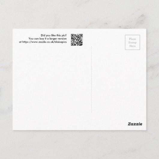 ベニスラグナ ポストカード (裏面)