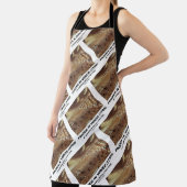 ベニス凍っていで（1708年）ガブリエル・ベラ エプロン (インサイチュ)