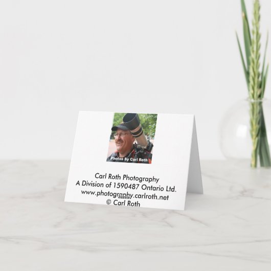 ベニス-贅沢及び洗濯 カード (裏面)