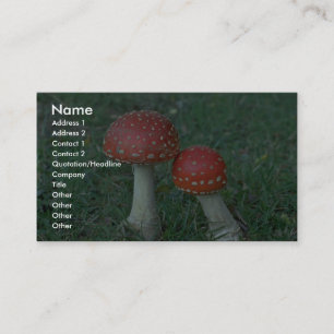 ベニテングタケ(テングタケ属のmuscaria) 名刺