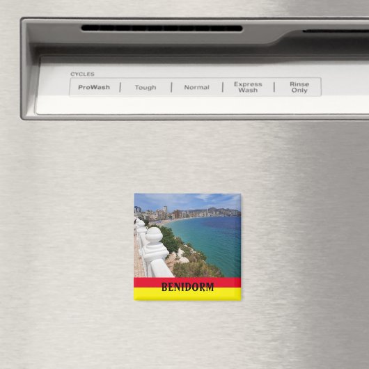 ベニドームプラヤレヴァンテビーチスペインスーベニアー マグネット (インサイチュ (食洗機))