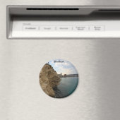 ベニドーム マグネット (インサイチュ (食洗機))