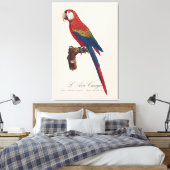ベニバシインコまたはアカハシインコ、サクラインコ 、Ara macao キャンバスプリント (インサイチュ (寝室))