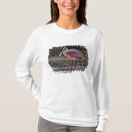ベニバシラ Tシャツ (正面)