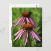 ベニバナとビー ポストカード (正面/裏面)