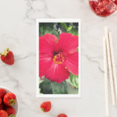 ベニバナハイビスカス（紅花ハイビスカス） (インサイチュ)