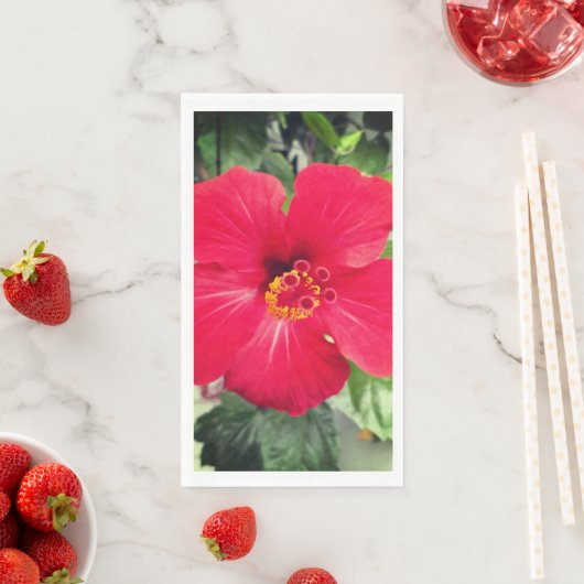 ベニバナハイビスカス（紅花ハイビスカス） (インサイチュ)