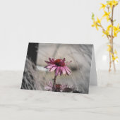 ベニバナ カード (黄色い花)