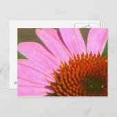 ベニバナ ポストカード (正面/裏面)