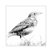 ベニマタドリの切手 ラバースタンプ (インプリント)