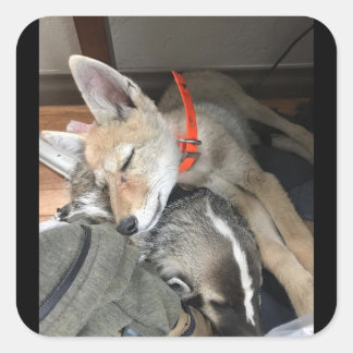 ベニーとドクのステッカー スクエアシール