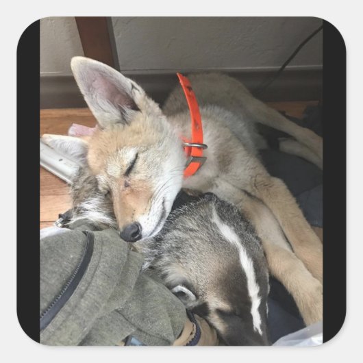 ベニーとドクのステッカー スクエアシール (正面)