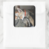 ベニーとドクのステッカー スクエアシール (バッグ)