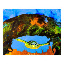 ベニー・ザ・カメ