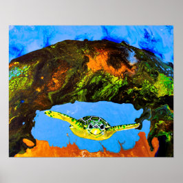 ベニー・ザ・カメ ポスター