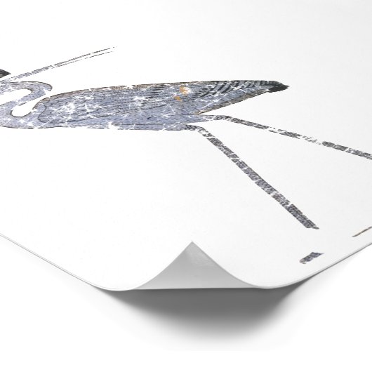 ベヌバード ポスター (角)