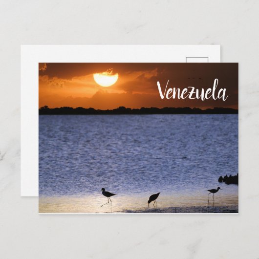 ベネズエラの夕日 ポストカード (正面/裏面)