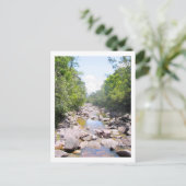 ベネズエラジャングルの風景のクリーク ポストカード (スタンド正面)